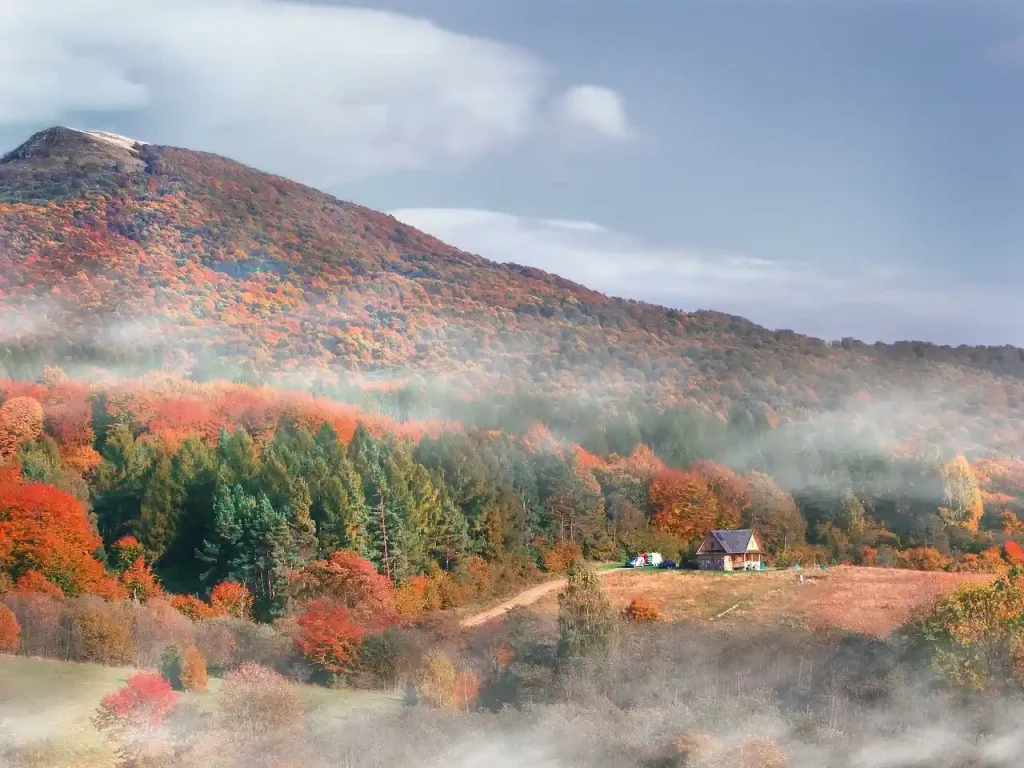 Niesamowite Bieszczady - wysokość, atrakcje, ciekawostki, Tarnica