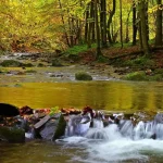 Niesamowite Bieszczady - wysokość, atrakcje, ciekawostki