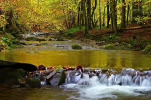 Niesamowite Bieszczady - wysokość, atrakcje, ciekawostki