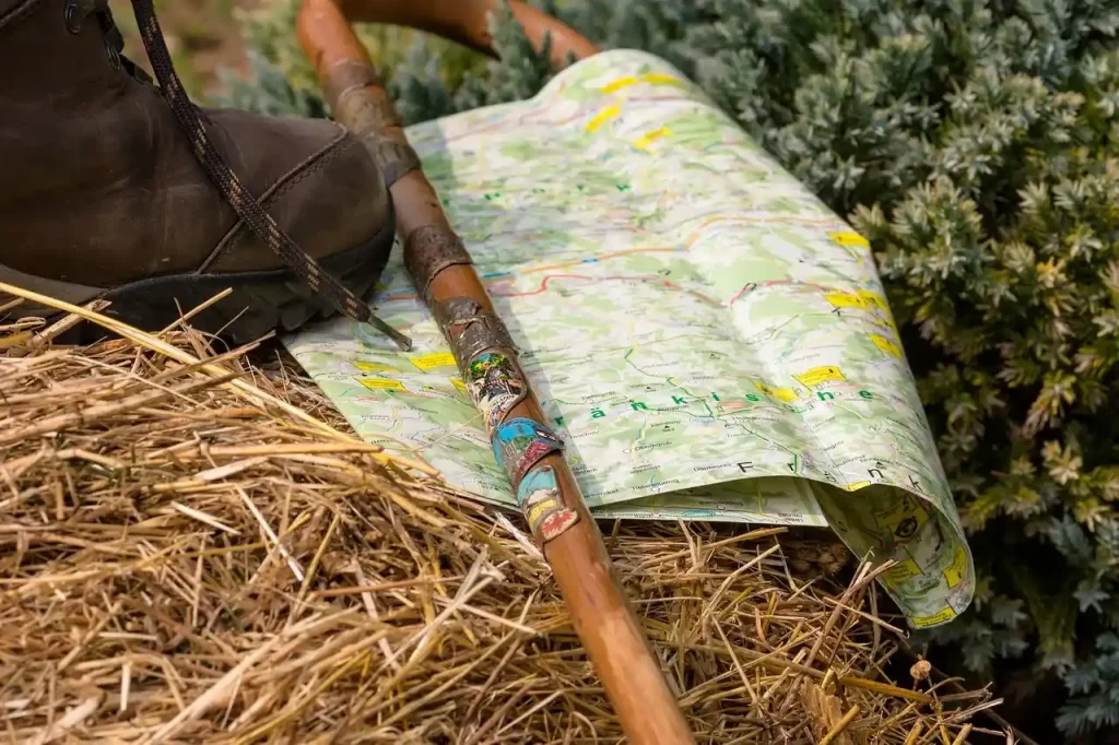 Wzgórza Dałkowskie - czy warto je zobaczyć